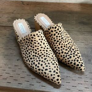 Steven by Steve Madden Mules